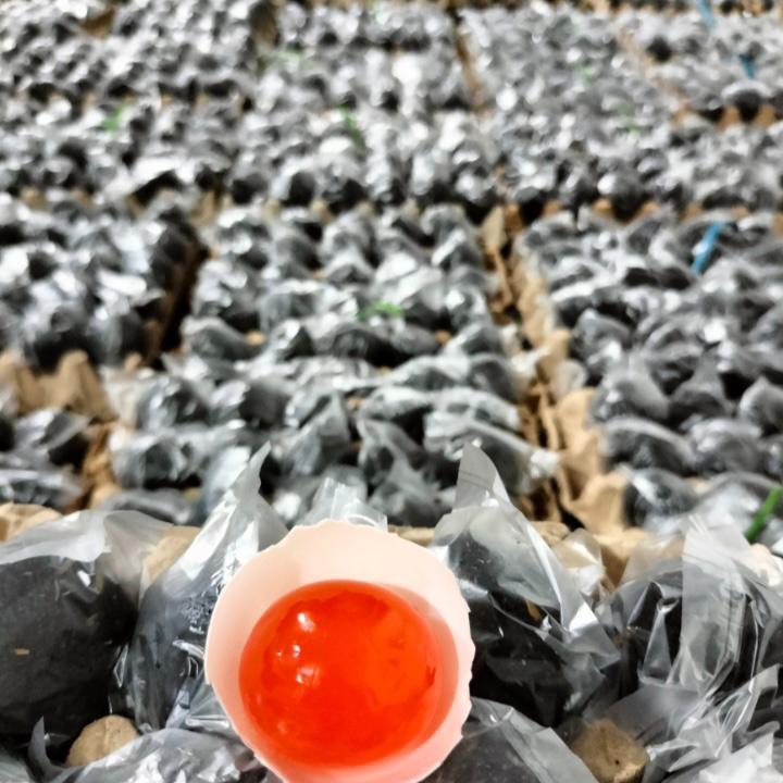 Telur Bebek Asin Mentah